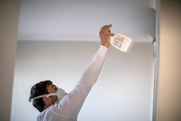 Best Same-Day Mold Removal  in Perry, MI