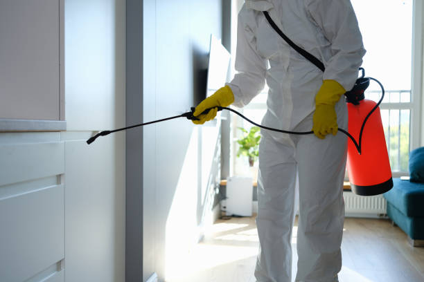 Best Attic Mold Removal  in Perry, MI