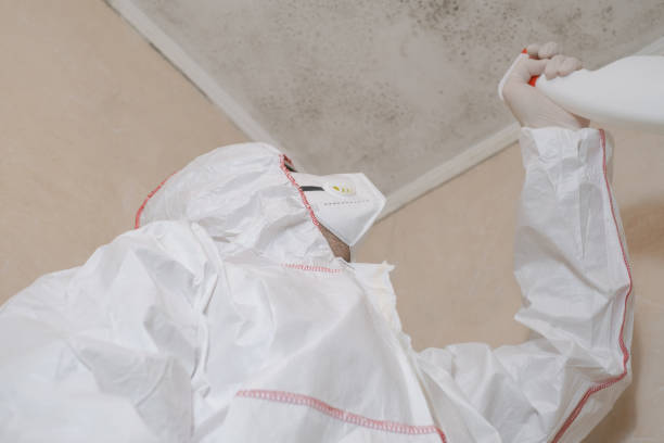Best Mold Removal Specialists  in Perry, MI
